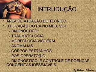 INTRUDUÇÃO
• ÁREA DE ATUAÇÃO DO TECNICO
• UTILIZAÇÃO DO RX NO MED. VET.
- DIAGNÓSTICO
- TRAUMATOLOGIA
- MORFOLOGIA VISCERAL
- ANOMALIAS
- CORPOS ESTRANHOS
- PÓS-OPERATÓRIO
- DIAGNÓSTICO E CONTROLE DE DOENÇAS
CONGENITAS IDESEJÁVEIS.
By Helson Silveira
 