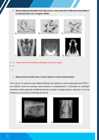  Nossa segunda atividade inclui descrever o nome das três incidências executadas e
correlacioná-las com a imagem obtida.
A – II - Posicionamento frontal para avaliação do forame magno.
B – III
C - I
 Nossa próxima tarefa inclui 2 casos clínicos a serem solucionados:
Um cão de 10 meses da raça Golden Retriever deu entrada no centro diagnóstico dia 27/04/17,
com histórico clínico de cansaço, tosse produtiva e emagrecimento. O tecnólogo em radiologia
veterinária realizou algumas incidências de tórax. Analise as imagens abaixo, descreva o nome da
incidência e as formas de contenção do animal.
5
 
