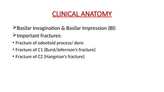 Radiological anatomy of base of the skull and craniovertevral junction ...