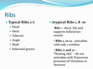 Radiological anatomy of chest including lungs,mediastinum and thoracic ...