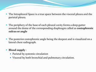 Radiological anatomy of chest including lungs,mediastinum and thoracic ...