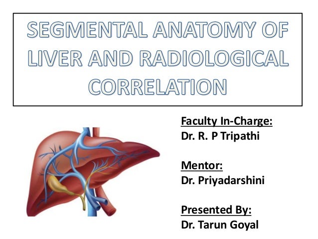 radiological anatomy of liver segments liver segments