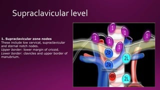 Radiological anatomy of mediastinum | PPTX