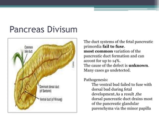 Radiological anatomy of pancreas and spleen