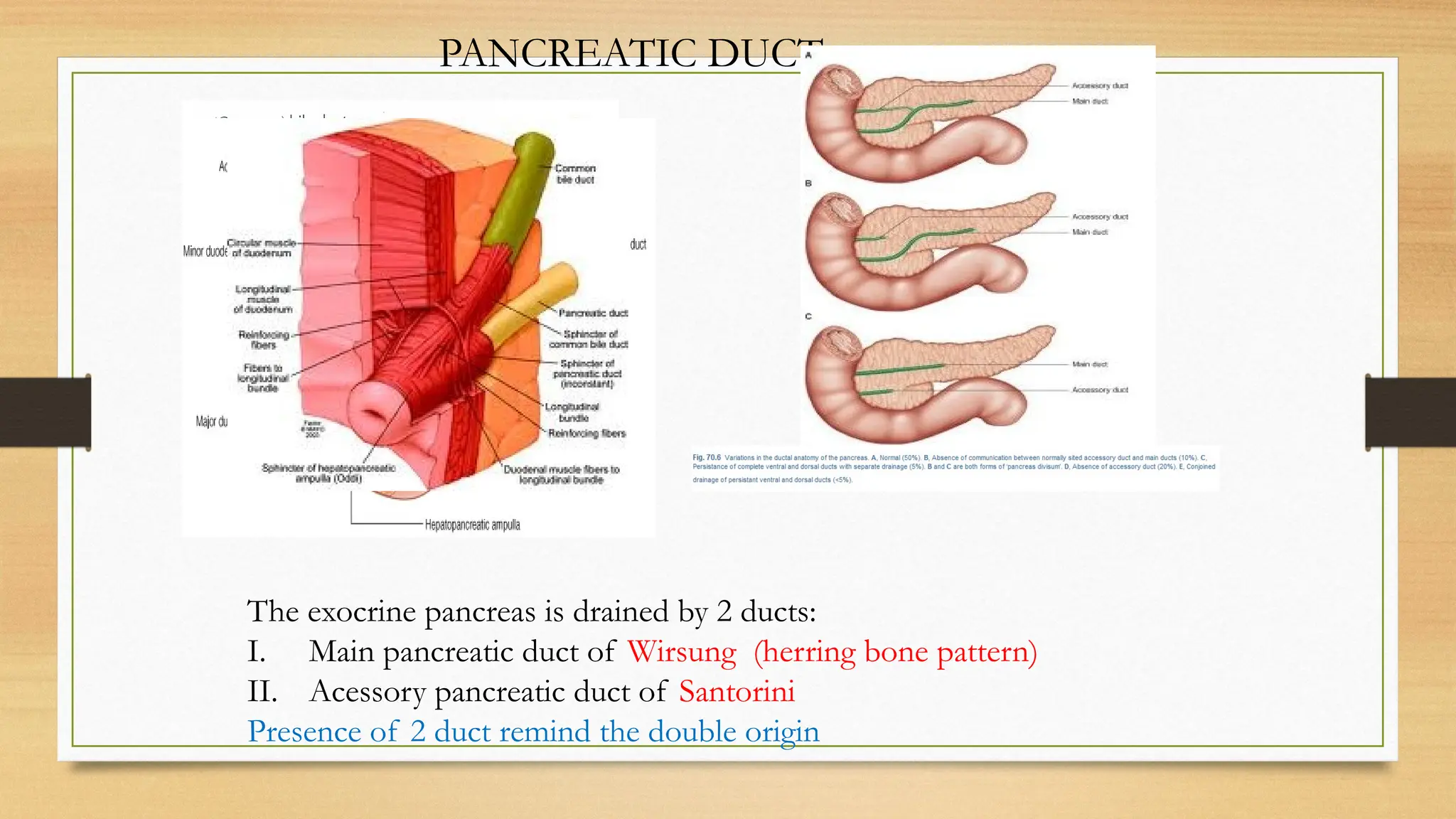 Radiological anatomy of Pancreas and Spleen | PPTX