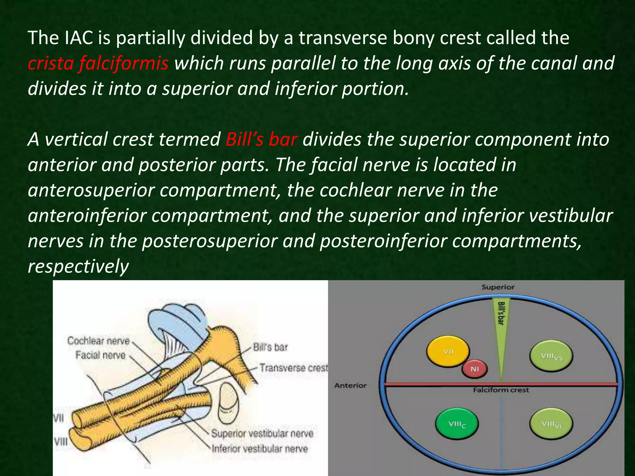 The IAC is partially divided by a transverse bony crest called the
crista falciformis which runs parallel to the long axis of the canal and
divides it into a superior and inferior portion.
A vertical crest termed Bill’s bar divides the superior component into
anterior and posterior parts. The facial nerve is located in
anterosuperior compartment, the cochlear nerve in the
anteroinferior compartment, and the superior and inferior vestibular
nerves in the posterosuperior and posteroinferior compartments,
respectively
 