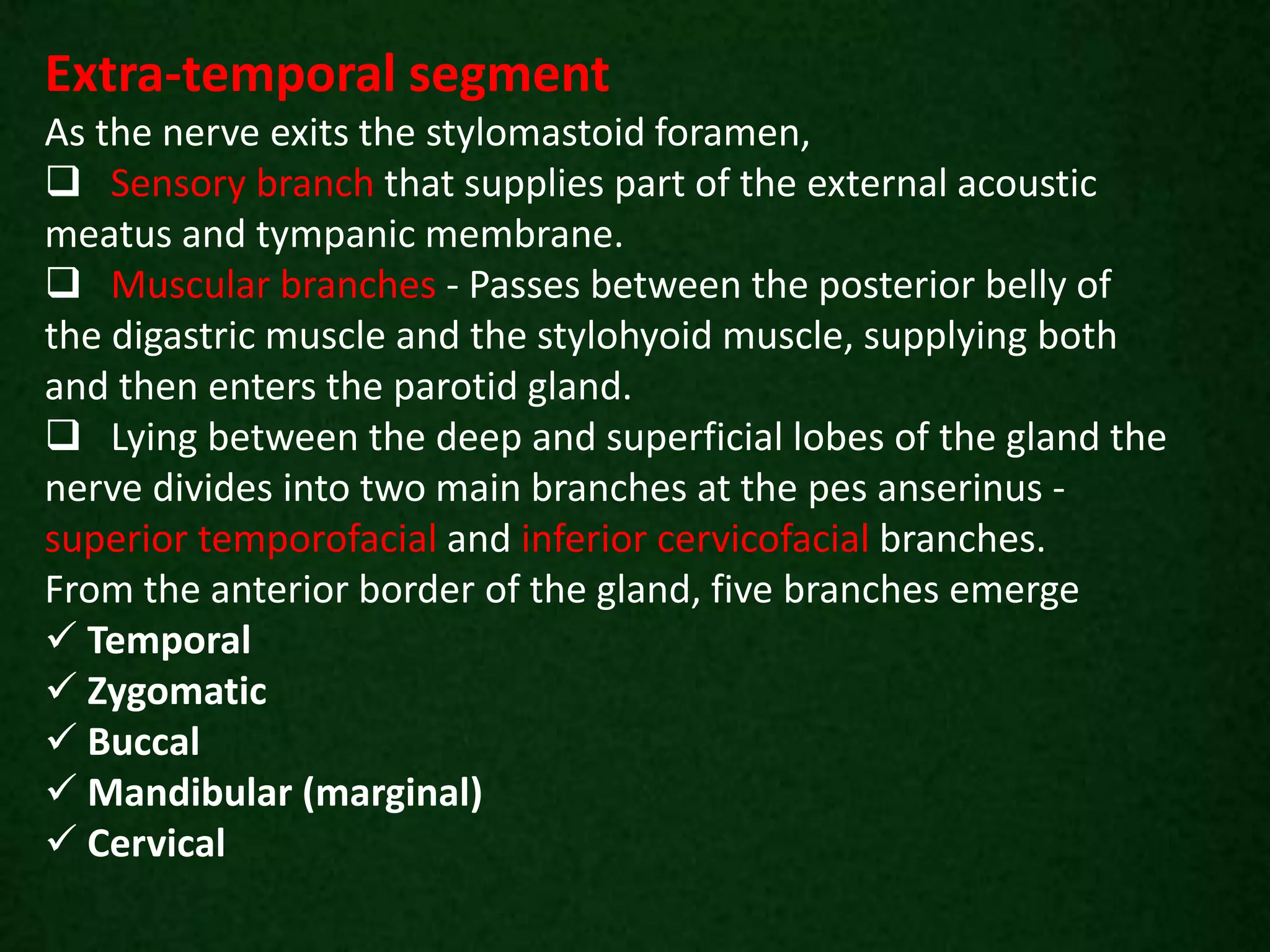 Extra-temporal segment
As the nerve exits the stylomastoid foramen,
 Sensory branch that supplies part of the external acoustic
meatus and tympanic membrane.
 Muscular branches - Passes between the posterior belly of
the digastric muscle and the stylohyoid muscle, supplying both
and then enters the parotid gland.
 Lying between the deep and superficial lobes of the gland the
nerve divides into two main branches at the pes anserinus -
superior temporofacial and inferior cervicofacial branches.
From the anterior border of the gland, five branches emerge
 Temporal
 Zygomatic
 Buccal
 Mandibular (marginal)
 Cervical
 