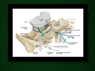Radiological anatomy of_temporal_bone[1] | PPTX