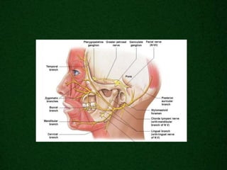 Radiological anatomy of_temporal_bone[1] | PPTX