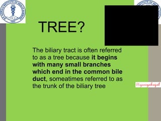 Radiological investigation of billiary tact 01 | PPTX
