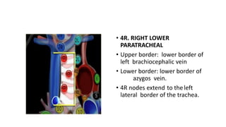 Radiological mapping of mediastinum.pptx