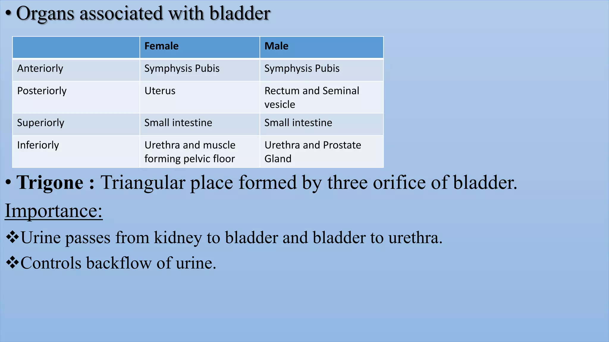 Radiological procedure of retrograde urethrography(rgu) and micturating PPT
