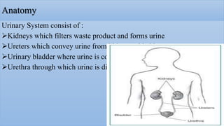 Radiological procedure of retrograde urethrography(rgu) and micturating ...