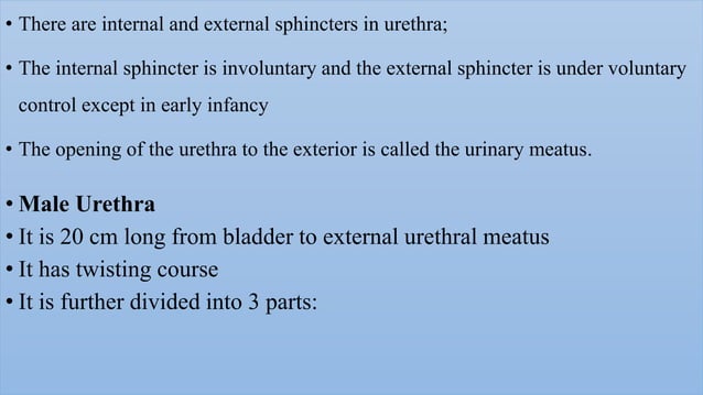 Radiological procedure of retrograde urethrography(rgu) and micturating ...