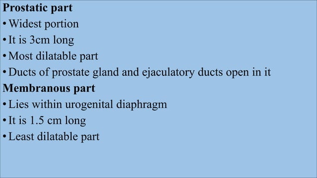 Radiological procedure of retrograde urethrography(rgu) and micturating ...