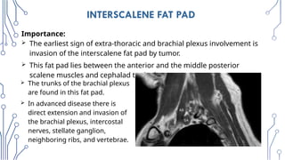 Radiologic_Anatomy_of_the_Brachial_plexus [final].pptx