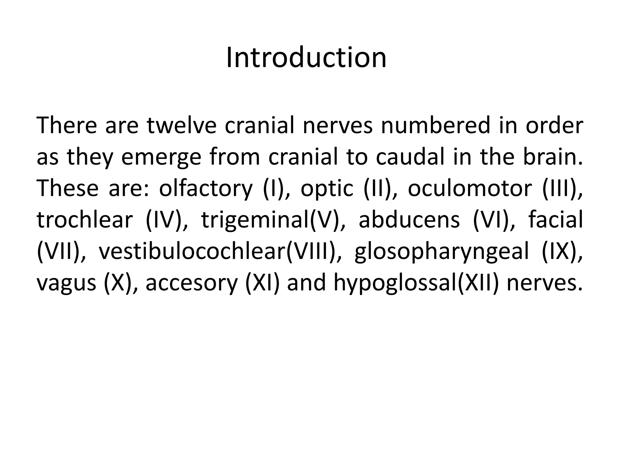 Radiologic anatomy of the cranial nerves | PPTX