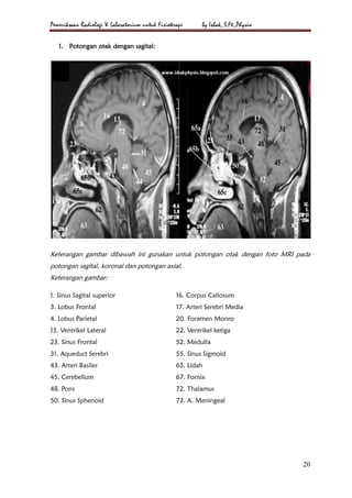 Loopografi Normal Radiologi Radiologi & laboratorium a4 | PDF