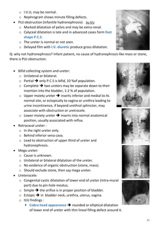 Radiology | PDF