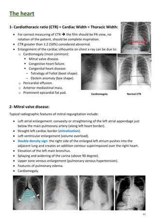 Radiology | PDF