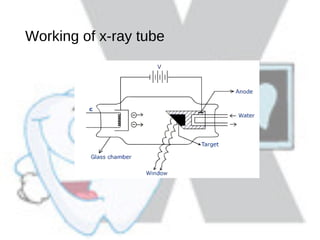 Radiology | PPT