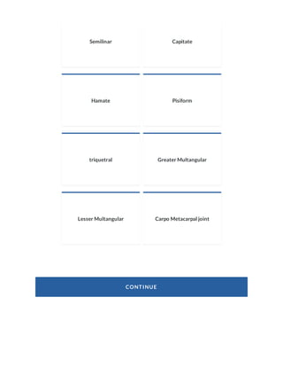 Greater And Lesser Multangular Radiology Anatomy of the Hand and Wrist | PDF