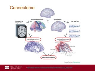 12
Connectome
1 http://www.nature.com/nrn/journal/v10/n3/box/nrn2575_BX1.html
 