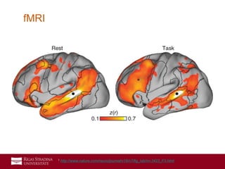 19
fMRI
1 http://www.nature.com/neuro/journal/v16/n7/fig_tab/nn.3423_F3.html
 