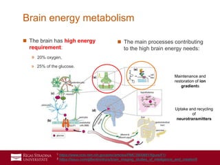 29
Brain energy metabolism
 The brain has high energy
requirement:
» 20% oxygen,
» 25% of the glucose.
 The main processes contributing
to the high brain energy needs:
1 https://www.ncbi.nlm.nih.gov/pmc/articles/PMC3900881/figure/F1/
2 https://issuu.com/gfbertini/docs/brain_imaging_studies_of_intelligence_and_creativi/8
Maintenance and
restoration of ion
gradients
Uptake and recycling
of
neurotransmitters
 