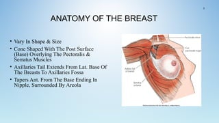 ANATOMY OF THE BREAST
• Vary In Shape & Size
• Cone Shaped With The Post Surface
(Base) Overlying The Pectoralis &
Serratus Muscles
• Axillaries Tail Extends From Lat. Base Of
The Breasts To Axillaries Fossa
• Tapers Ant. From The Base Ending In
Nipple, Surrounded By Areola
2
 