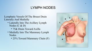 LYMPH NODES
Lymphatic Vessels Of The Breast Drain
Laterally And Medially
• Laterally Into The Axillary Lymph
Nodes (C & D)
• 75& Drain Toward Axilla
• Medially Into The Mammary Lymph
Nodes
• 25% Toward Mammary Chain (F)
6
 