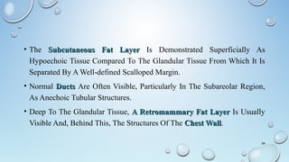 • The Subcutaneous Fat LayerSubcutaneous Fat Layer Is Demonstrated Superficially As
Hypoechoic Tissue Compared To The Glandular Tissue From Which It Is
Separated By A Well-defined Scalloped Margin.
• Normal DuctsDucts Are Often Visible, Particularly In The Subareolar Region,
As Anechoic Tubular Structures.
• Deep To The Glandular Tissue, A Retromammary Fat LayerA Retromammary Fat Layer Is Usually
Visible And, Behind This, The Structures Of The Chest WallChest Wall.
64
 