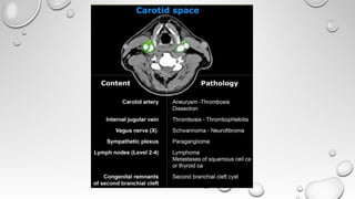 Radiological Imaging in Head and Neck and relevant anatomy