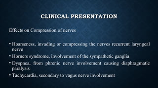 Radiology day 3 mediastinal anatomy | PPT
