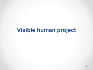 Visible human project
 