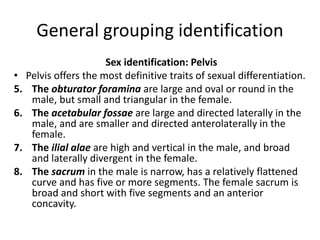 General grouping identification
Sex identification: Pelvis
• Pelvis offers the most definitive traits of sexual differentiation.
5. The obturator foramina are large and oval or round in the
male, but small and triangular in the female.
6. The acetabular fossae are large and directed laterally in the
male, and are smaller and directed anterolaterally in the
female.
7. The ilial alae are high and vertical in the male, and broad
and laterally divergent in the female.
8. The sacrum in the male is narrow, has a relatively flattened
curve and has five or more segments. The female sacrum is
broad and short with five segments and an anterior
concavity.
 