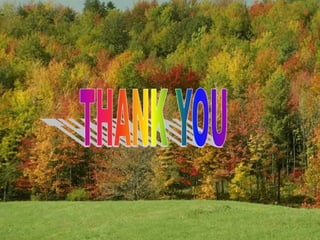 Radiology interactive session