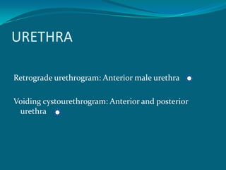 URETHRA

Retrograde urethrogram: Anterior male urethra

Voiding cystourethrogram: Anterior and posterior
 urethra
 