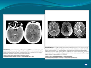 Radiology Np Students2