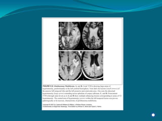 Radiology Np Students2