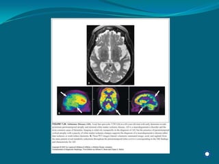 Radiology Np Students2