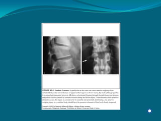 Radiology Np Students2