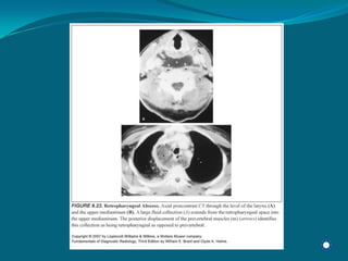 Radiology Np Students2