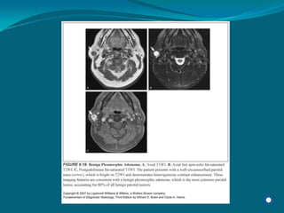 Radiology Np Students2