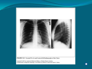 Radiology Np Students2