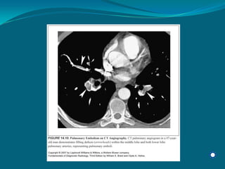 Radiology Np Students2