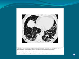 Radiology Np Students2