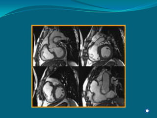 Radiology Np Students2