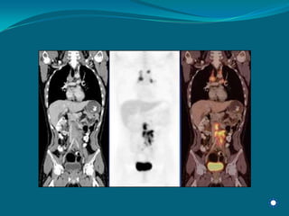 Radiology Np Students2