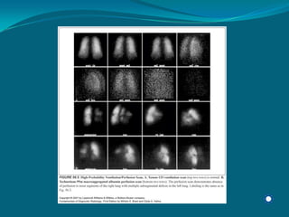 Radiology Np Students2